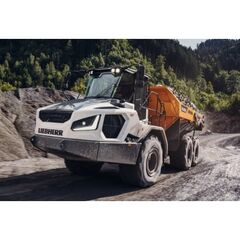  Knickgelenkte Muldenkipper Liebherr TA230 Litronic 12466276